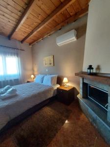 1 dormitorio con 1 cama grande y chimenea en Guesthouse Platon en Órma