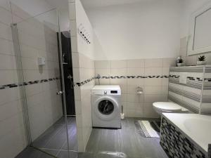 O baie la Maria's Ferienwohnung - Modernität trifft Eleganz +17 fotografii
