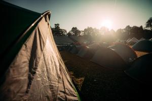 ミュンヘンにあるEuroCup Campsite 2024の太陽を背景にした野原の一団
