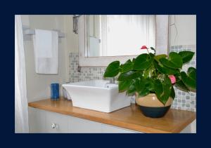 La salle de bains est pourvue d'un lavabo et d'une plante en pot sur un comptoir. dans l'établissement Rest and Sea Self-catering - The perfect family or couples getaway to relax and refresh, à Franskraalstrand