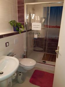 a bathroom with a shower and a toilet and a sink at TWS Pension an der B1 in Magdeburg