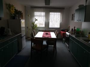 eine Küche mit einem Tisch und Stühlen im Zimmer in der Unterkunft TWS Pension an der B1 in Magdeburg