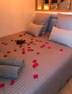 a bed with red rose petals on it at Séjour détente centre historique de MACON avec spa in Mâcon