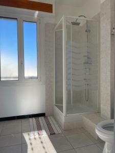 La salle de bains est pourvue d'une douche et de toilettes. dans l'établissement Appart 60 m2 séjour sur terrasse sud et 2 chambres gare Saint-Charles, à Marseille