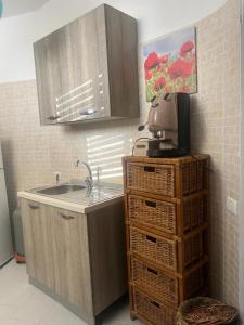 eine Küche mit einer Spüle und einer Mikrowelle in der Unterkunft Villa Al Mare Guest House in Tre Fontane