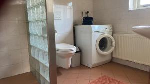 a bathroom with a toilet and a washing machine at Vakantiehuis De Fiere - wijngaard Zutphen in Zutphen