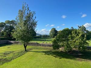 two trees in a field next to a stone wall at Elizabethan Manor at gateway to the Brecon Beacons in Abergavenny