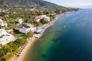 eine Luftansicht auf einen Strand neben dem Wasser in der Unterkunft Zoe Seaside in Loutra Edipsou