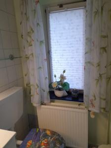 a bathroom with a window with a potted plant on a window sill at Ferienhaus im Spreewald - b46731 in Straupitz