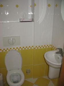 a bathroom with a toilet and a sink at Byt na půdě kousek od hradu in Prague