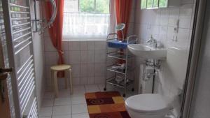 a small bathroom with a toilet and a sink at Ferienwohnung Schwudke Wohnung 63 in Gartow +3 photos