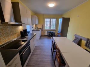 Η κουζίνα ή μικρή κουζίνα στο Dat Diekhus