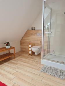 a bathroom with a toilet and a shower at Ferienhaus "BASTEK2" am See mit Kamin & WLAN - Domek Letniskowy BASTEK in Pasym