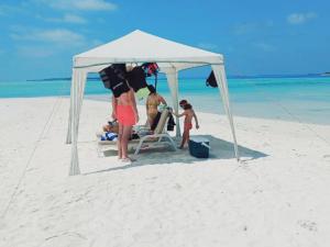 Hosté ubytování Rindali - The speedboat from Malé to the hotel departs at 1130 every Monday Thursday and Saturday and from the hotel to Malé at 0630 and five domestic flights are available every day