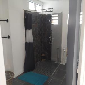 a shower with a glass door in a bathroom at Gîte Timadam in Cilaos