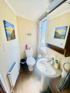 a bathroom with a white toilet and a sink at B47 Caravan Seven Bays in Padstow