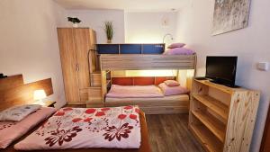 1 Schlafzimmer mit 2 Etagenbetten und einem TV in der Unterkunft Apartmán Pod Žalým - Hořejší Vrchlabí in Vrchlabí