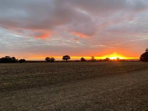 a field with a sunset in the background at 1 Bedroom annex, private bathroom, peaceful area in Claypits