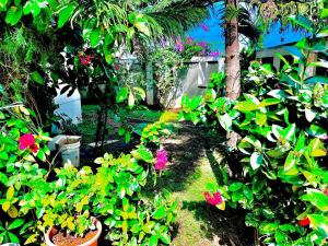 a garden with lots of plants and flowers at D Villa : A posh bunglow with modern amenities in Panaji