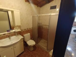 a bathroom with a toilet and a sink and a shower at Dove Apart Hotel in Fethiye