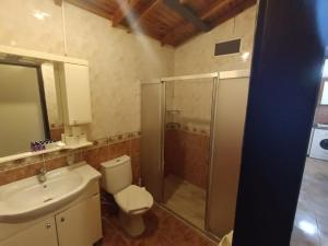 een badkamer met een toilet, een wastafel en een douche bij Dove Apart Hotel in Fethiye