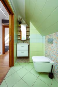 łazienka z toaletą i umywalką w obiekcie Apartmán ve vile w Ostravie