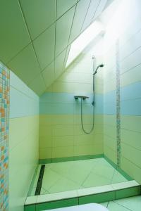 Habitación con baño con ducha. en Apartmán ve vile, en Ostrava