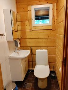 a bathroom with a toilet and a sink at Himos Slalom 1, Poreallas kuuluu hintaan in Jämsä