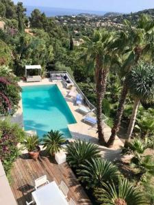 an overhead view of a swimming pool with palm trees at Villa Hirondelles 35 in Cavalaire-sur-Mer