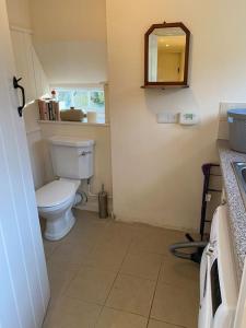 ein Bad mit einem WC und einem Spiegel in der Unterkunft Ffawydden - a listed gem in the National Park in Abergavenny