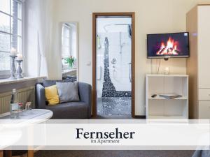 a living room with a couch and a fireplace at Blumenvilla 2 mit begehbarer Dusche, Sauna, Garten in Schneverdingen