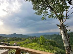 - Vistas a una colina con un árbol en Pagen Bungalow, en Artvin