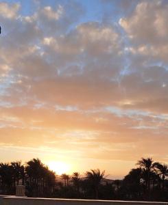 un coucher de soleil avec des palmiers et un ciel nuageux dans l'établissement Pyramids Queen Hotel, au Caire