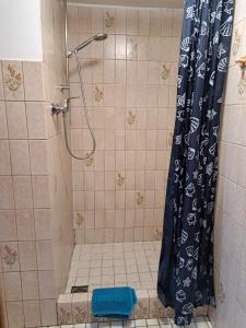 a shower with a blue shower curtain in a bathroom at Ferienhof Jens Ferienwohnung 8 "Kronsgaard" in Kronsgaard