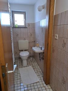 a small bathroom with a toilet and a sink at Ferienhof Jens Ferienwohnung 8 "Kronsgaard" in Kronsgaard