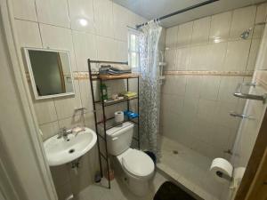a small bathroom with a toilet and a sink at Acogedora vivienda anexa en un barrio tranquilo in David