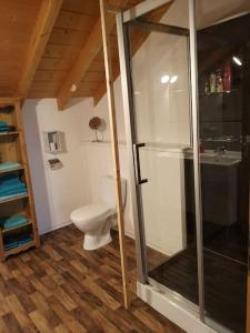 uma casa de banho com um WC e uma cabina de duche em vidro. em Ferienhaus Auszeit em Meinerzhagen