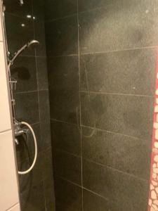 a bathroom with a shower with a glass door at Ferienhaus mit Terrasse und viel Ruhe in Wieting