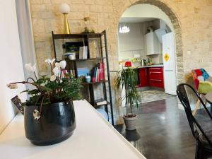 A kitchen or kitchenette at Chaleureux appart, proche de La Loire avec parking