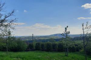 a green field with trees and a mountain in the background at "Saunahotel" mit separatem Badezimmer in Meinerzhagen
