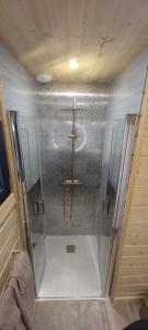 a shower with a glass door in a bathroom at Chalet le p'ti lu in Bussang