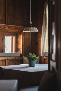 a potted plant sitting on a table in a room at Ansitz Heufler in Rasun di Sopra