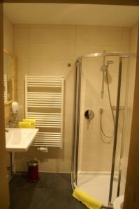 a bathroom with a shower and a sink at Scharmerhof in Hohenbrunn