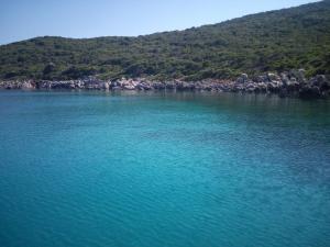 Táj Show holiday homes közelében