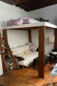 Łóżko piętrowe w pokoju z drabiną w obiekcie Studio charmant au cœur de Paris ! w Paryżu