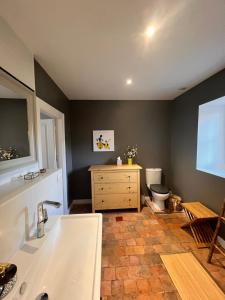 een badkamer met een wastafel en een toilet bij La maison d'Hélios in Alençon