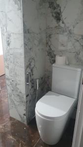 a white toilet in a bathroom with a marble wall at Private Room with attached Bathroom in The Hyde