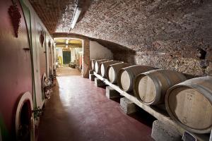 a row of wine barrels in a cellar at Fattoria Le Vegre in Arcugnano