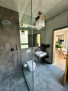 a bathroom with a shower and a toilet and a sink at AareSüdhang Loft Bern - Yacht feeling in Bern