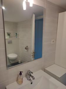 ein Bad mit einem Waschbecken, einem Spiegel und einem WC in der Unterkunft Longère chaleureuse et familiale - 3 chambres in Limerzel